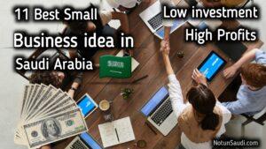 11 Best Small Business Ideas in Saudi Arabia